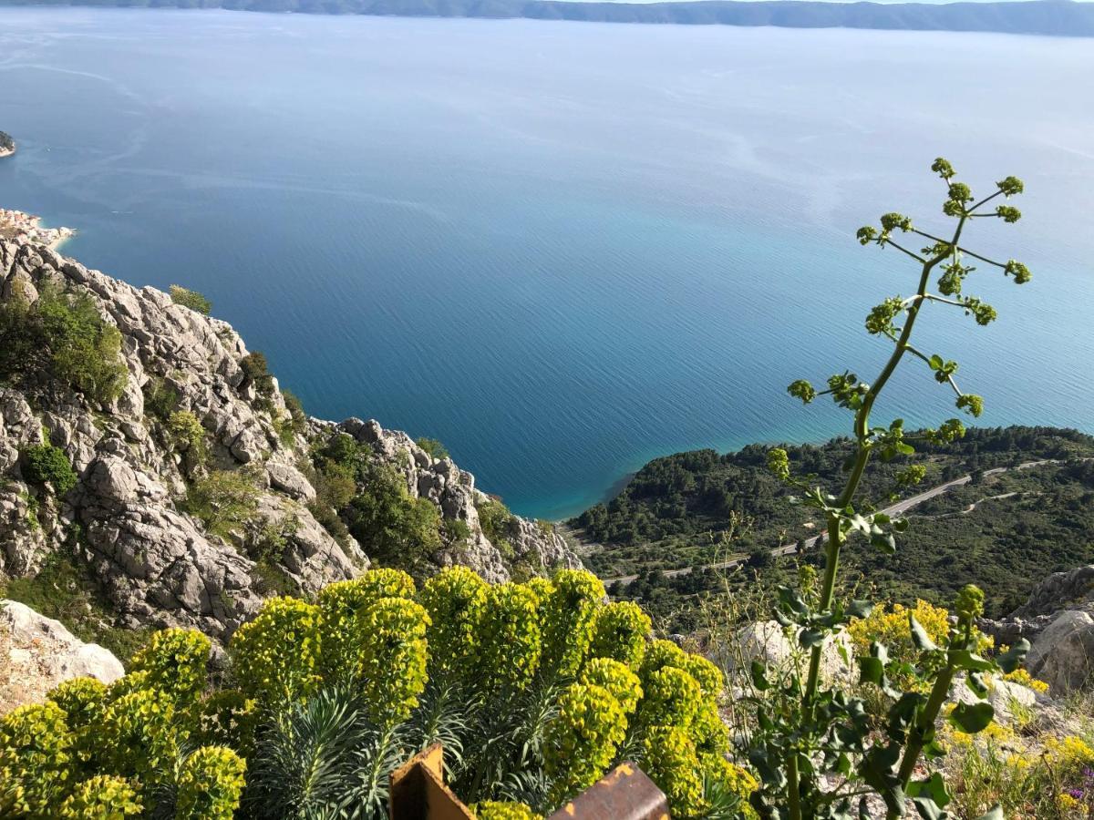 Apartments Drago Makarska Extérieur photo