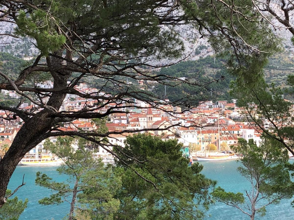 Apartments Drago Makarska Extérieur photo